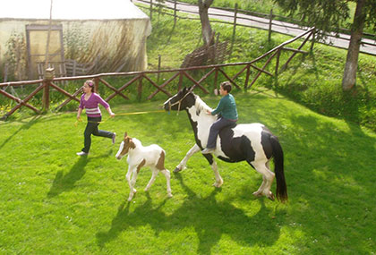 equitazione in Agriturismo Santarelli